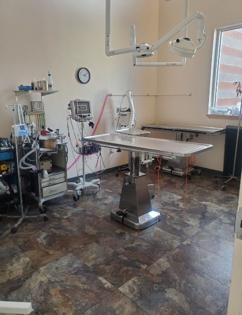 northview animal hospital operating room