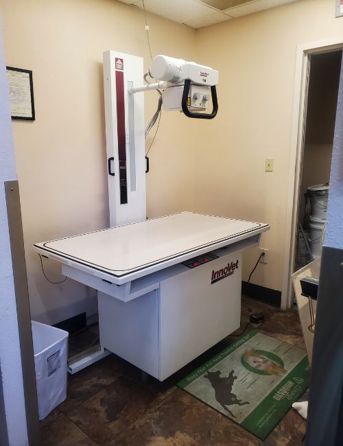 veterinary xray equipment